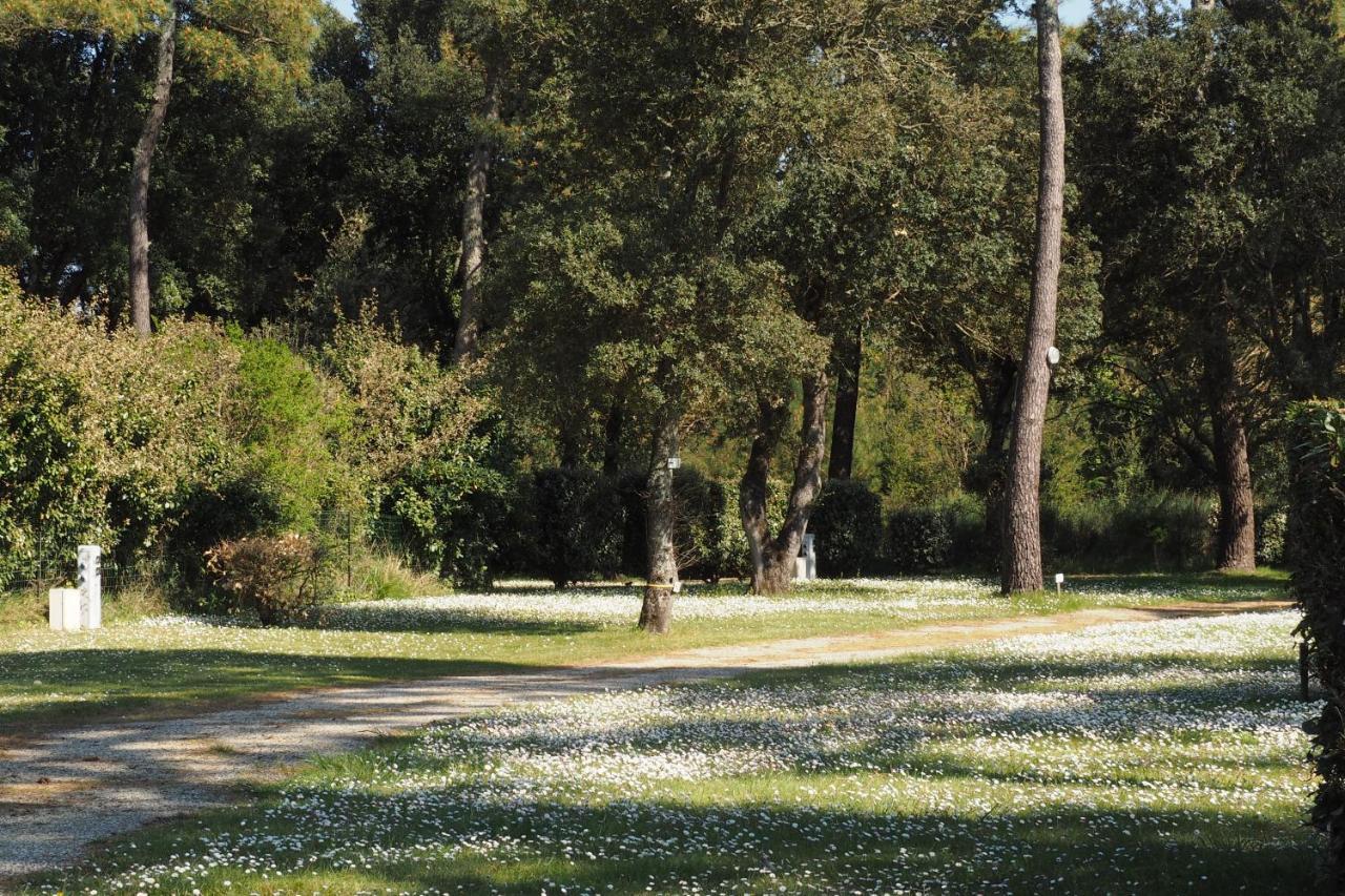 Camping Le Puits De L'Auture Saint-Palais-sur-Mer Dış mekan fotoğraf